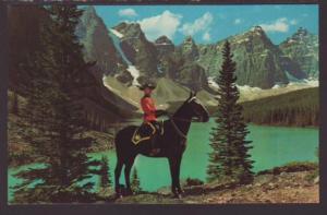 Royal Canadian Mountie Postcard 