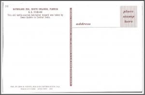 Florida Leopard Gatorland Zoo - [FL-108]