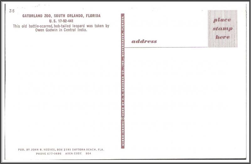 Florida Leopard Gatorland Zoo - [FL-108]