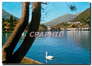 Postcard Modern Ponte Tresa VA panoramic Shortcut