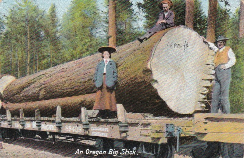 Oregon An Oregon Big Stick Giant Log On Railway Car sk4108