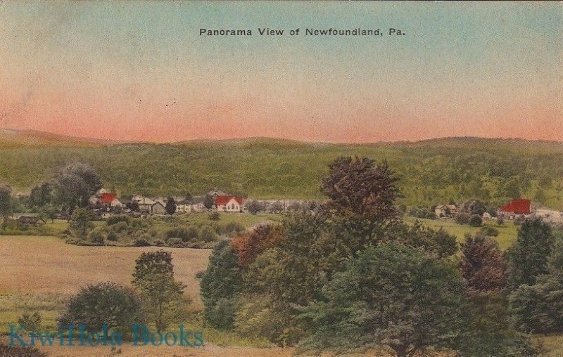 Postcard Panorama View Newfoundland PA