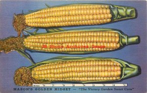 Advertising Linen Postcard, Max Schling Seedsman, Mason's Golden Midget Corn