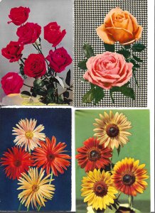 Beautiful flowers, roses Lot of 4 modern Spanish photo postcards