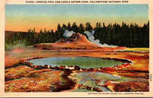 Yellowstone National Park Crested Pool and Castle Geyser Cone Curteich