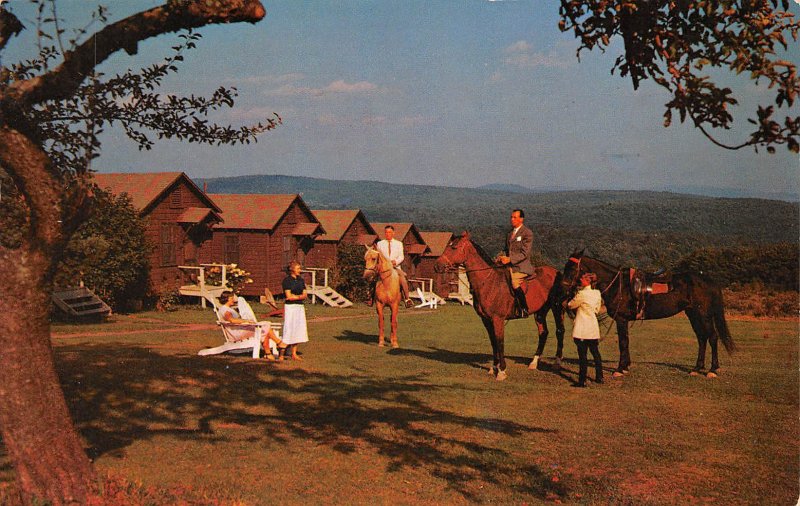 Livingston Manor, New York White Roe Lake Resort, Vintage Postcard AA357-24