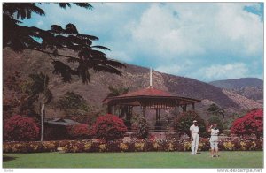 Botanical Gardens , Hope , KIngston , Jamaica , 40-60s