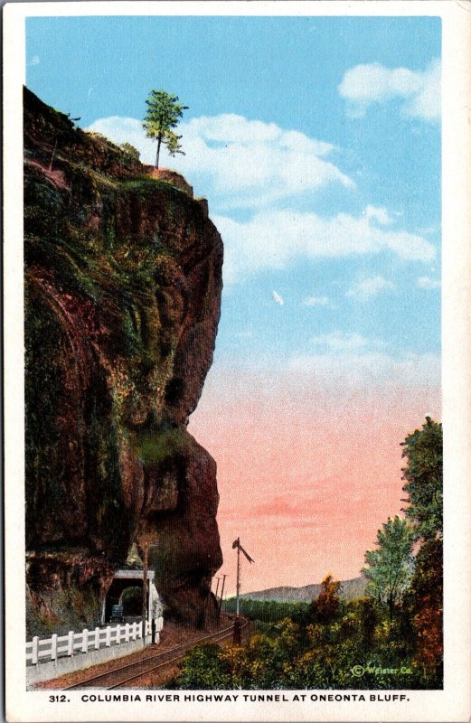 Columbia River Highway Tunnel At Oneonta Bluff Oregon Vintage Postcard C038