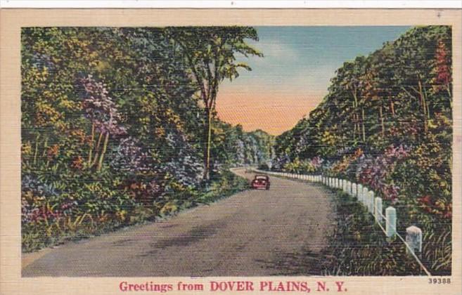 New York Greetings From Dover Plains 1940