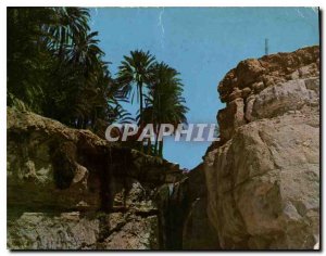 Modern Postcard The Cascade Taniera Tunisia