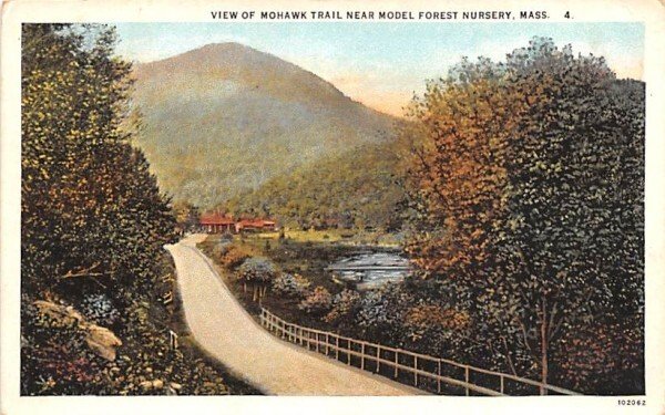 View of Mohawk Trail near Model Forest Nursery Massachusetts  