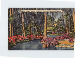 Postcard Azalea Fringed Lagoon in Cypress Gardens in Sunny Florida