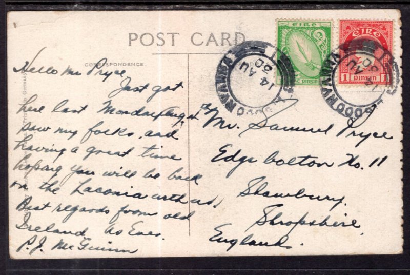 Cliffs of Moher,Ireland BIN