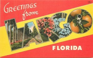 Florida Largo large letters multi View Tichnor linen Postcard 22+-7902