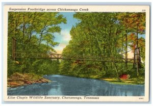 c1940 Elise Chapin Wildlife Sanctuary Footbridge Chattanooga Tennessee Postcard