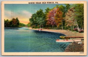 Old Forge Pennsylvania 1942 Postcard River Scene Beach Boats
