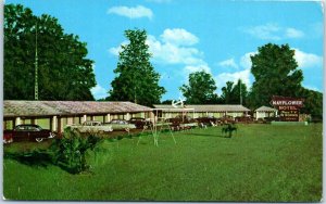 1956 Mayflower Motel High Springs FL Old Cars Postcard