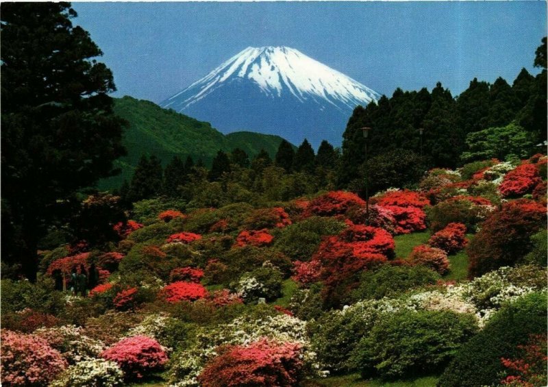 Carte Postale Spring - Mont Fuji