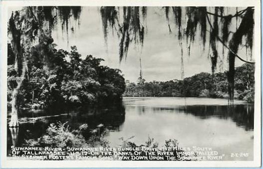 FL - Suwannee River   *RPPC