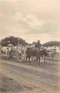 Ox Wagon Calcutta British India 1910c postcard