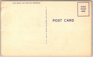 Monkeys Inside The Barrel Playing Around Having More Fun Comic Postcard