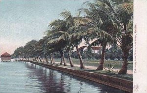 Florida Palm Beach Walk Along Lake Worth