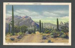 Desert Road  Unused  PC