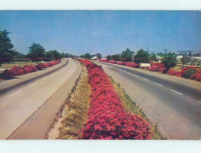 Pre-1980 ROAD OR STREET SCENE Fresno California CA hJ6405