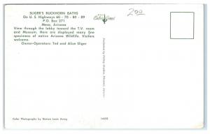1950s Sliger's Buckhorn Baths Interior, Mesa, AZ Postcard