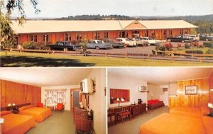 Chadwick Motel Middletown, New York Postcard