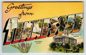 Greetings From Tennessee Large Big Letter Linen State Postcard Unposted Iris