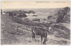 BRIGNOGAN , Finistere , France , 00-10s ; Un coin de la Greve