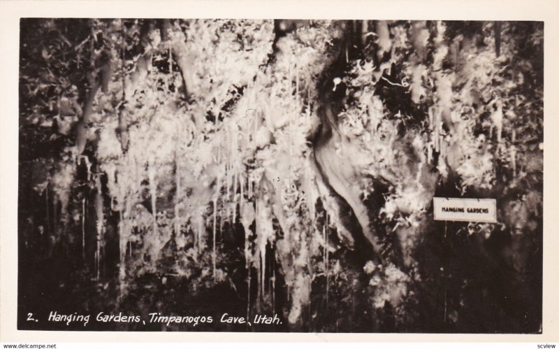 RP: TIMPANOGOS CAVE, Utah, 30-50s; Hanging Gardens