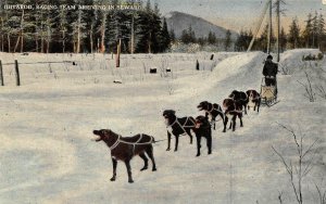 IDITAROD RACING TEAM ARRIVING IN SEWARD ALASKA DOGS POSTCARD (c. 1910)