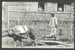 Ca 1914 PPC* Ilo Ilo Philippines A Native Farmer Life Over 100 Years Ago Mint