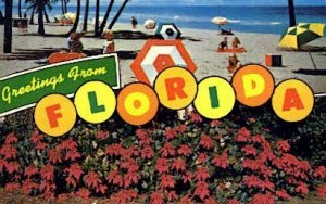 Greetings from Florida - Misc Postcard