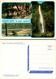 Guadeloupe - le parc naturel (13328