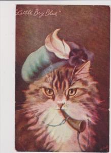 LP64     Cats, Kittens, animals,  vintage postcard