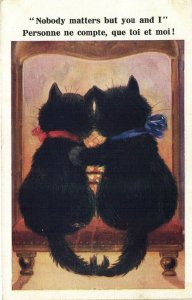 PC CPA CATS, NOBODY MATTERS BUT YOU AND I, Vintage Postcard (b27050)