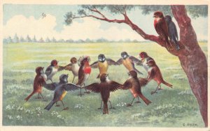 Fantasy Humanized Birds Circle Dance C Oehler Art Anthropomorphic postcard  B926