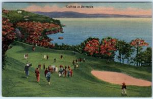BERMUDA  Golfers Golfing GOLF COURSE  1952  Linen  Postcard 