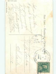 Divided-Back BEAUTIFUL FLOWERS SCENE Great Postcard AA2521