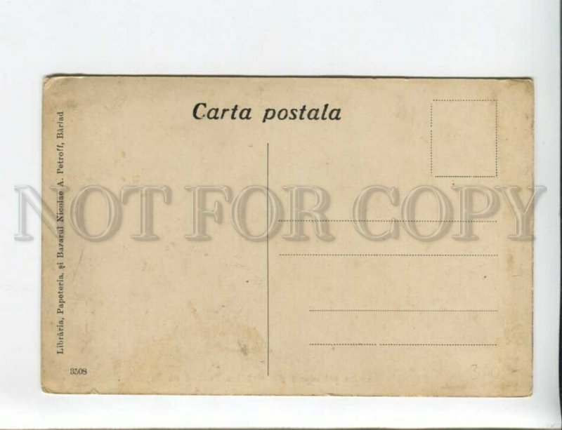 3172203 ROMANIA BERLAD Alea principala Vintage postcard