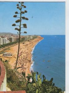 Postal 6797: Calella: vista desde el faro