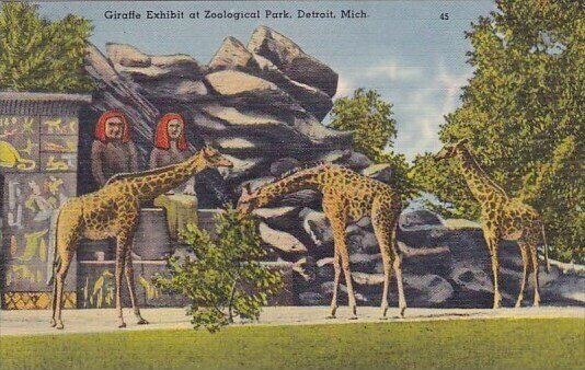 Giraffe Exhibit At Zoological Park Detroit Michigan