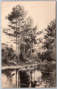 Parkersburg West Virginia 1910 Postcard Lake Pond Trees