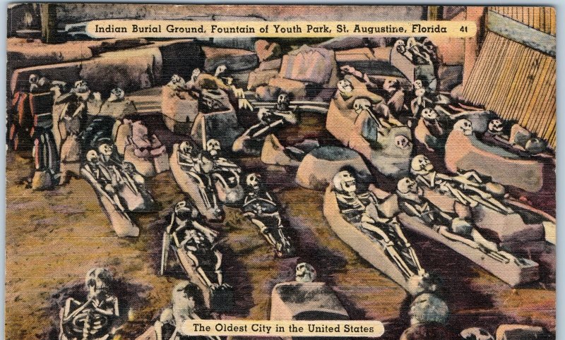 c1930s St Augustine, FL Indian Burial Ground Linen Postcard Skeletons A91