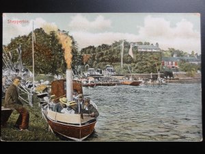 Surrey: Shepperton, on th river showing small steam boat - Old Postcard