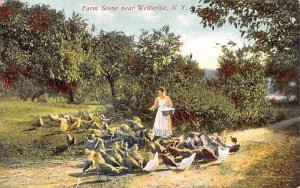 Farm Wellsville, New York