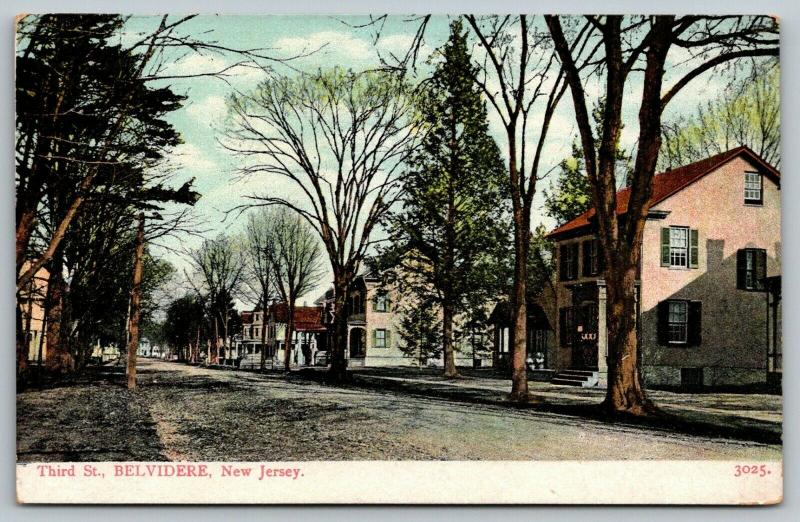 Belvidere New Jersey~Third Street~Homes Both Sides~Dirt Road~c1905 Postcard 